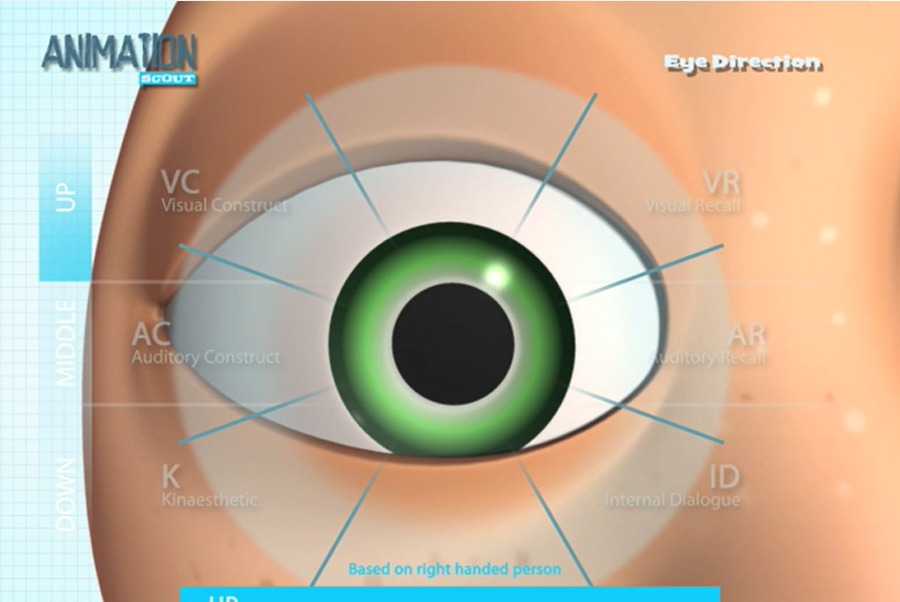 AnimationScout – Eye Direction