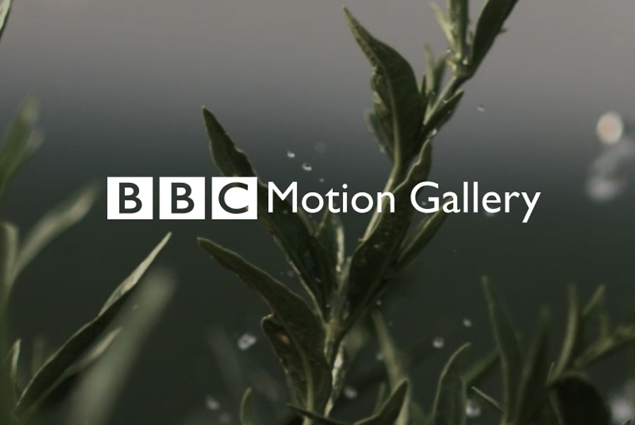 BBC Motion Gallery