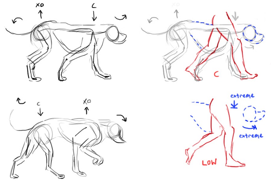 How to Key a Dog’s Walk – Animation Notes / Tutorial