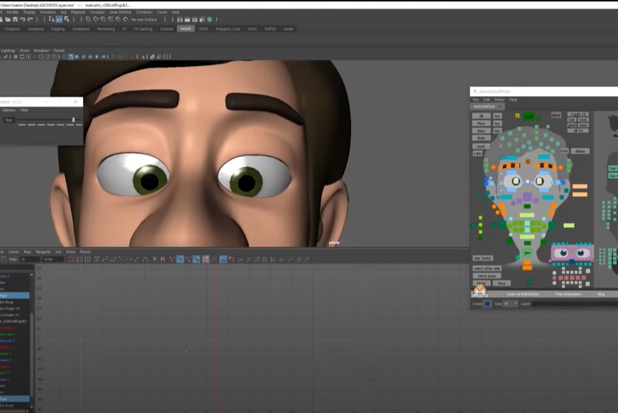 Lecture- Animating Pupil